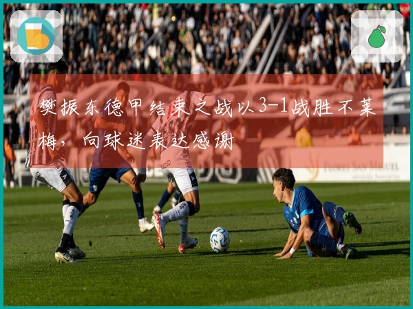 樊振东德甲结束之战以3-1战胜不莱梅，向球迷表达感谢